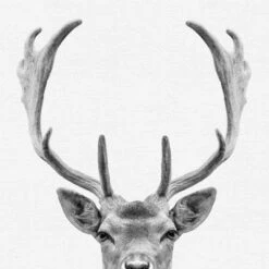 Set Of 8- 11x11 Gallery Square Framed Prints W/ Mats Decorative Wall Art Set - Black And White Jungle Nursery - Americanflat With Mat -Roommates Nursery Outlet Store GUEST 183c62bb 30d8 4f9a bc14 461c08929439