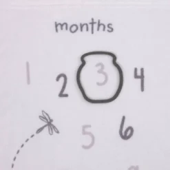 Disney Baby Classic Pooh Milestone Blanket -Roommates Nursery Outlet Store GUEST 6dcf4956 b977 4ea7 82e7 22e1e03aac98