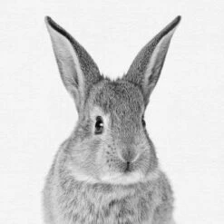 Set Of 8- 11x11 Gallery Square Framed Prints W/ Mats Decorative Wall Art Set - Black And White Jungle Nursery - Americanflat With Mat -Roommates Nursery Outlet Store GUEST c5e5fdca 41be 4d85 94b8 063b2531adc8