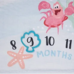 Disney Ariel Milestone Blanket -Roommates Nursery Outlet Store GUEST efc932dd 4e86 4397 bccc f3d2eb39c9d0